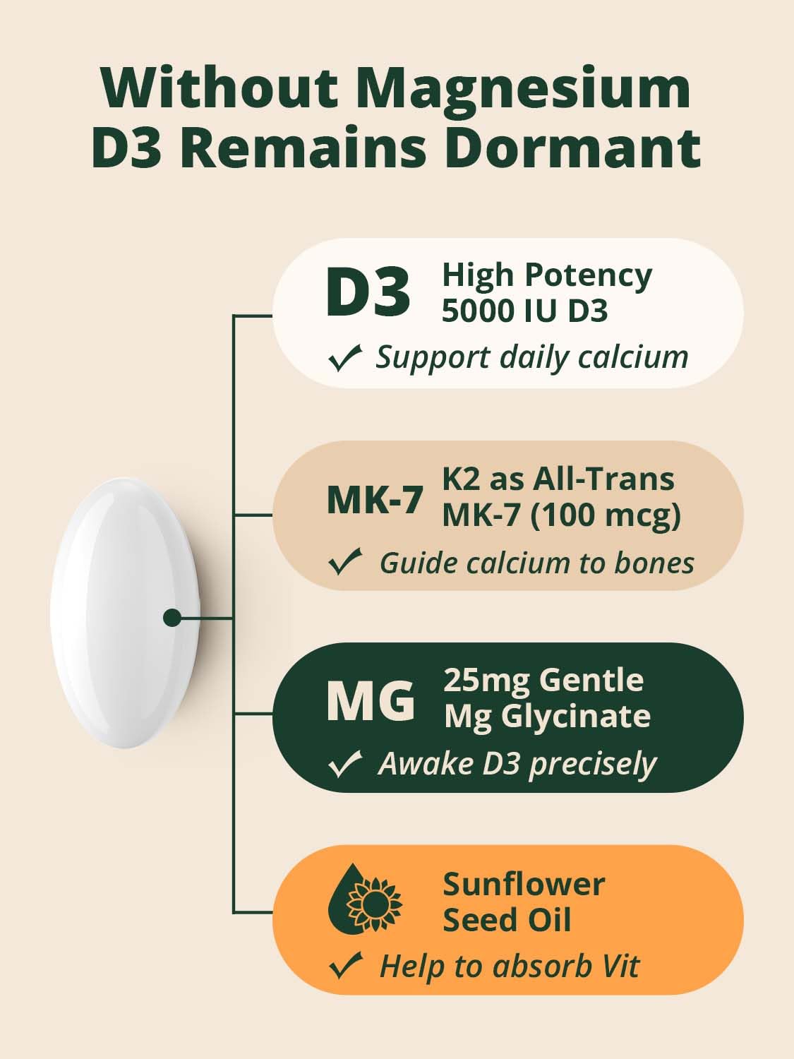 BienRaíz Vitamin D3 K2 Magnesium Glycinate, 120 Easy to Swallow Softgels
