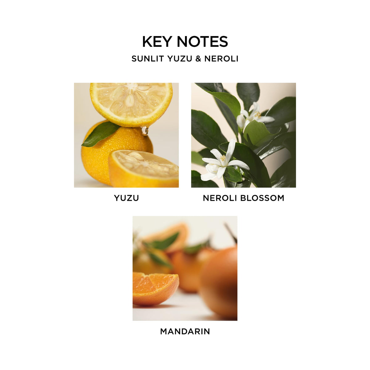 NEST New York Reed Diffuser, Sunlit Yuzu & Neroli