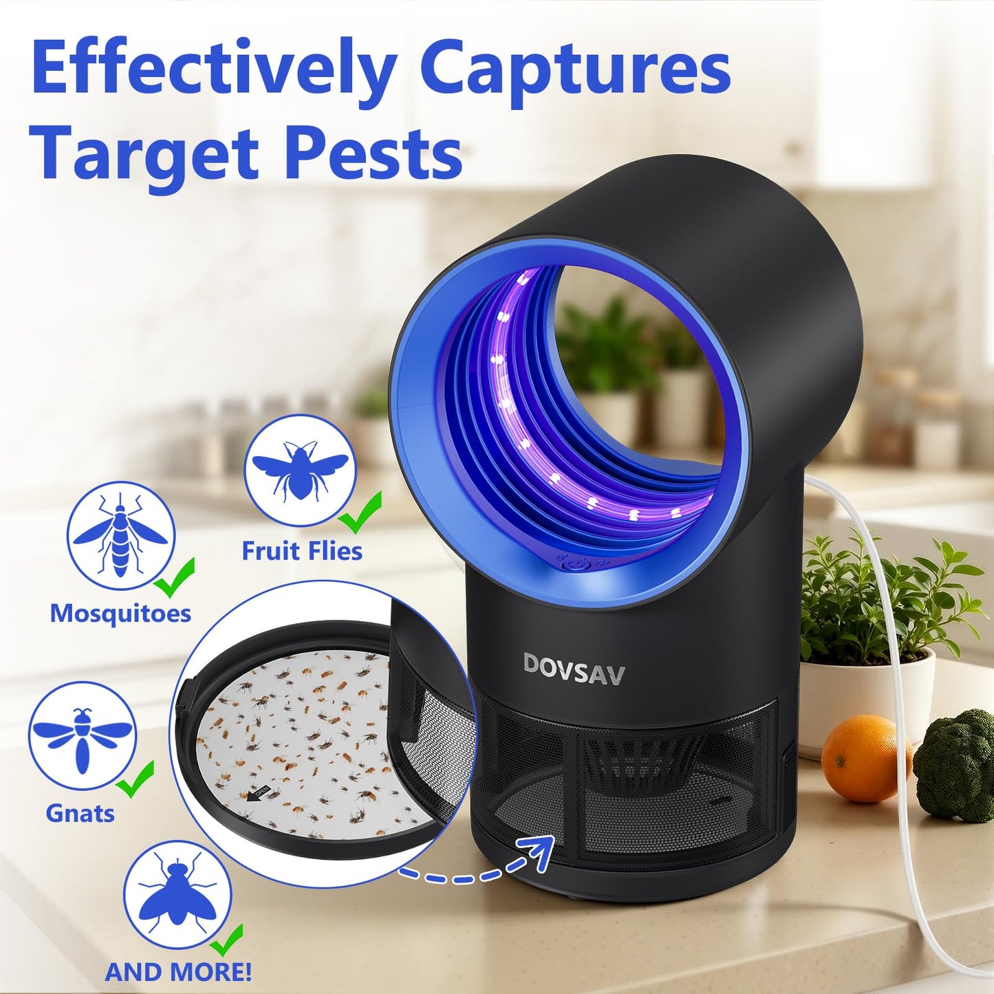 Fruit Fly Traps for Indoors, Blue Gnat Trap Indoor with Suction & Timer