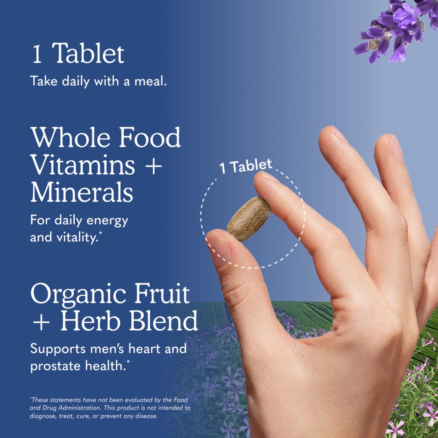 Garden of Life Once Daily Whole Food Multivitamin for Men, Organic Mens Vitamins & Minerals, Vitamin C, Zinc, Vegan, for Health & Well-Being, 60 Tablets