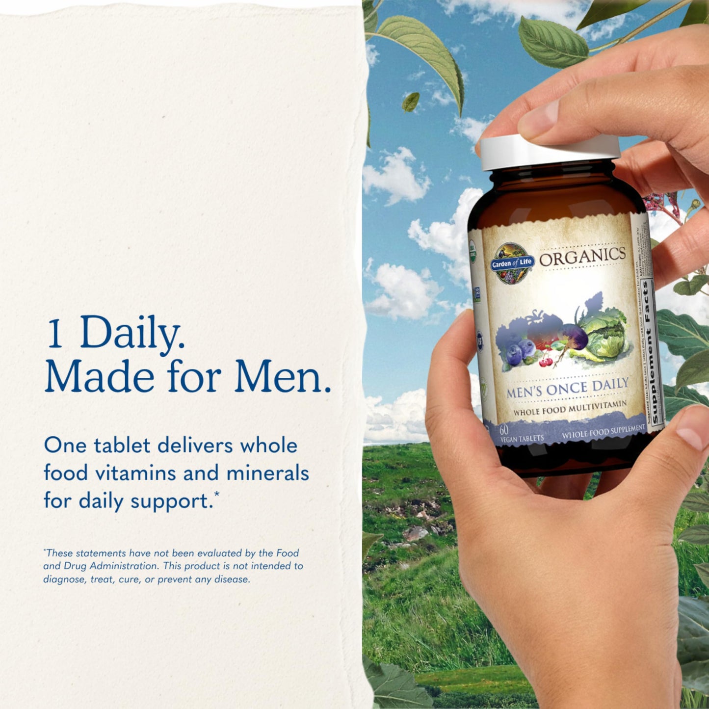 Garden of Life Once Daily Whole Food Multivitamin for Men, Organic Mens Vitamins & Minerals, Vitamin C, Zinc, Vegan, for Health & Well-Being, 60 Tablets