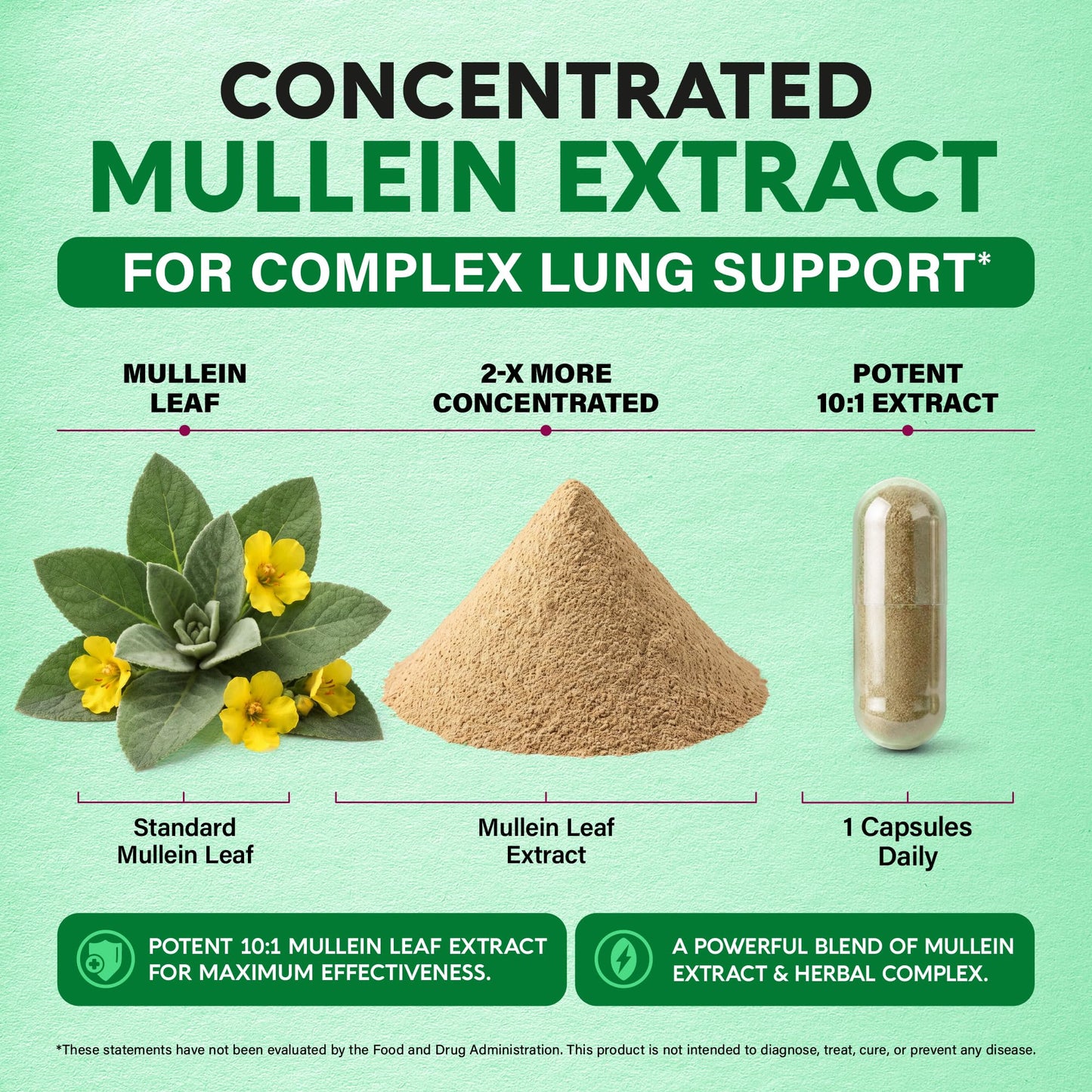 Mullein Lung Detox - Mullein Leaf 10:1 Extract Supplement - 60 Vegan Caps