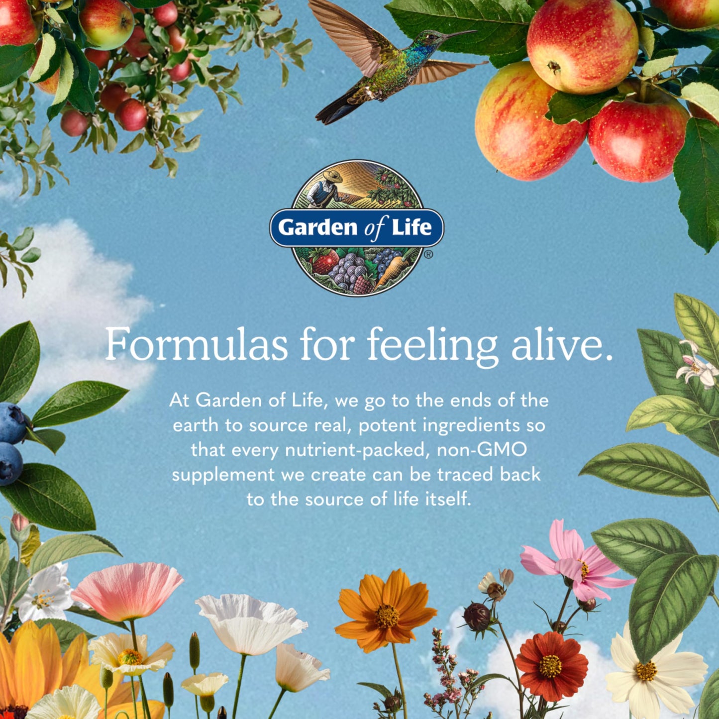 Garden of Life Once Daily Whole Food Multivitamin for Men, Organic Mens Vitamins & Minerals, Vitamin C, Zinc, Vegan, for Health & Well-Being, 60 Tablets