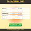 Domain Millions: The Ultimate Guide to Building Wealth with Domain Investing