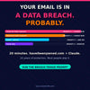 Erase Yourself From the Internet – Complete Digital Privacy & Online Footprint Removal Guide